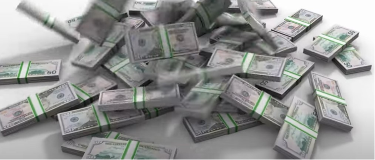 Ciclo vital de las setas