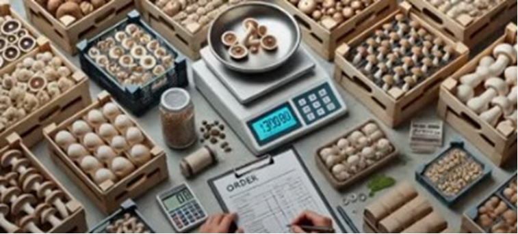 Ciclo vital de las setas